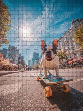 1000 Piece Jigsaw Puzzle for Adults French Bulldog Skateboarding in The City Challenging and Joyful Puzzle Game for Dog Lovers Wall Decor Gift Family Game Night Fun