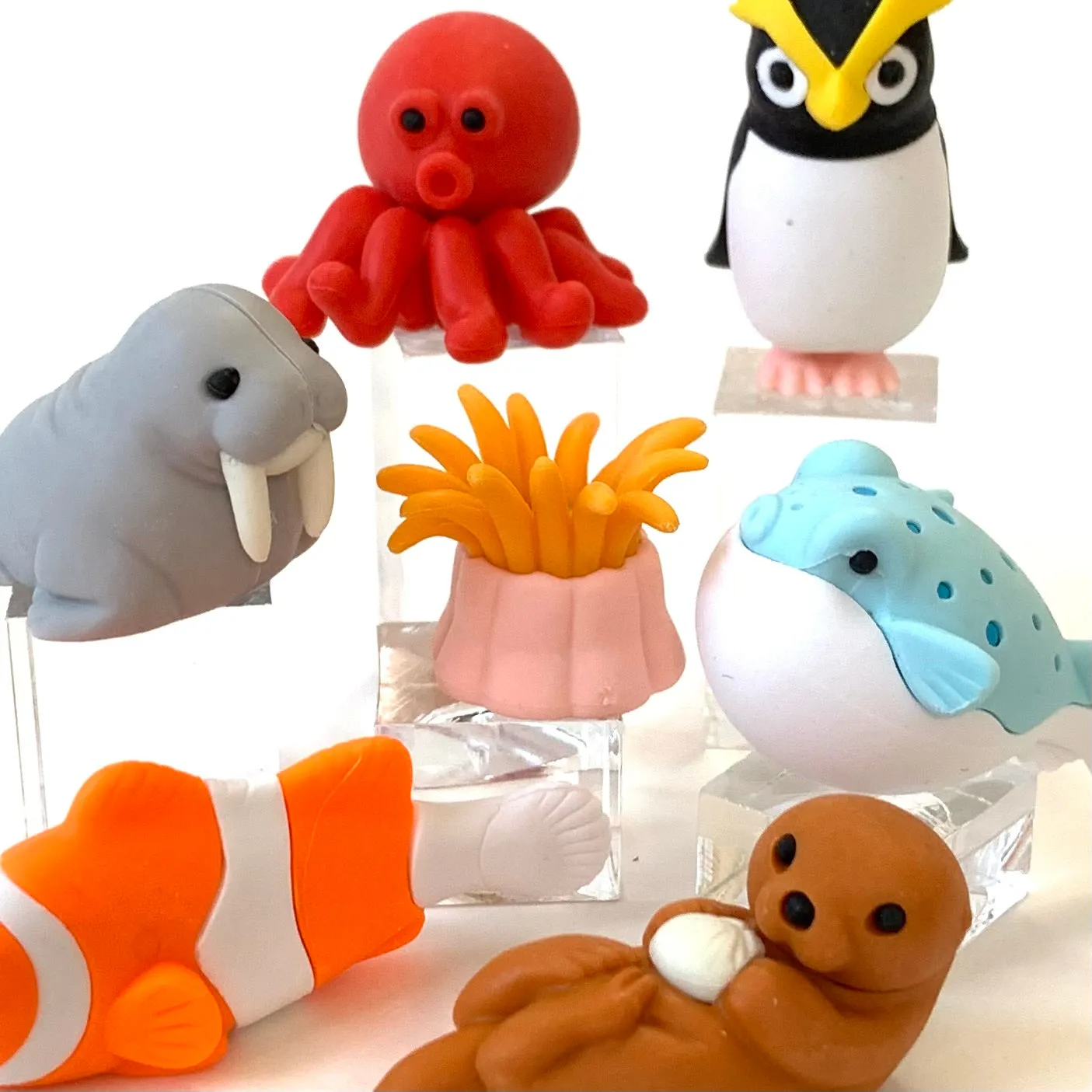 38313 SEA FRIENDS ERASER CARD-10 CARDS