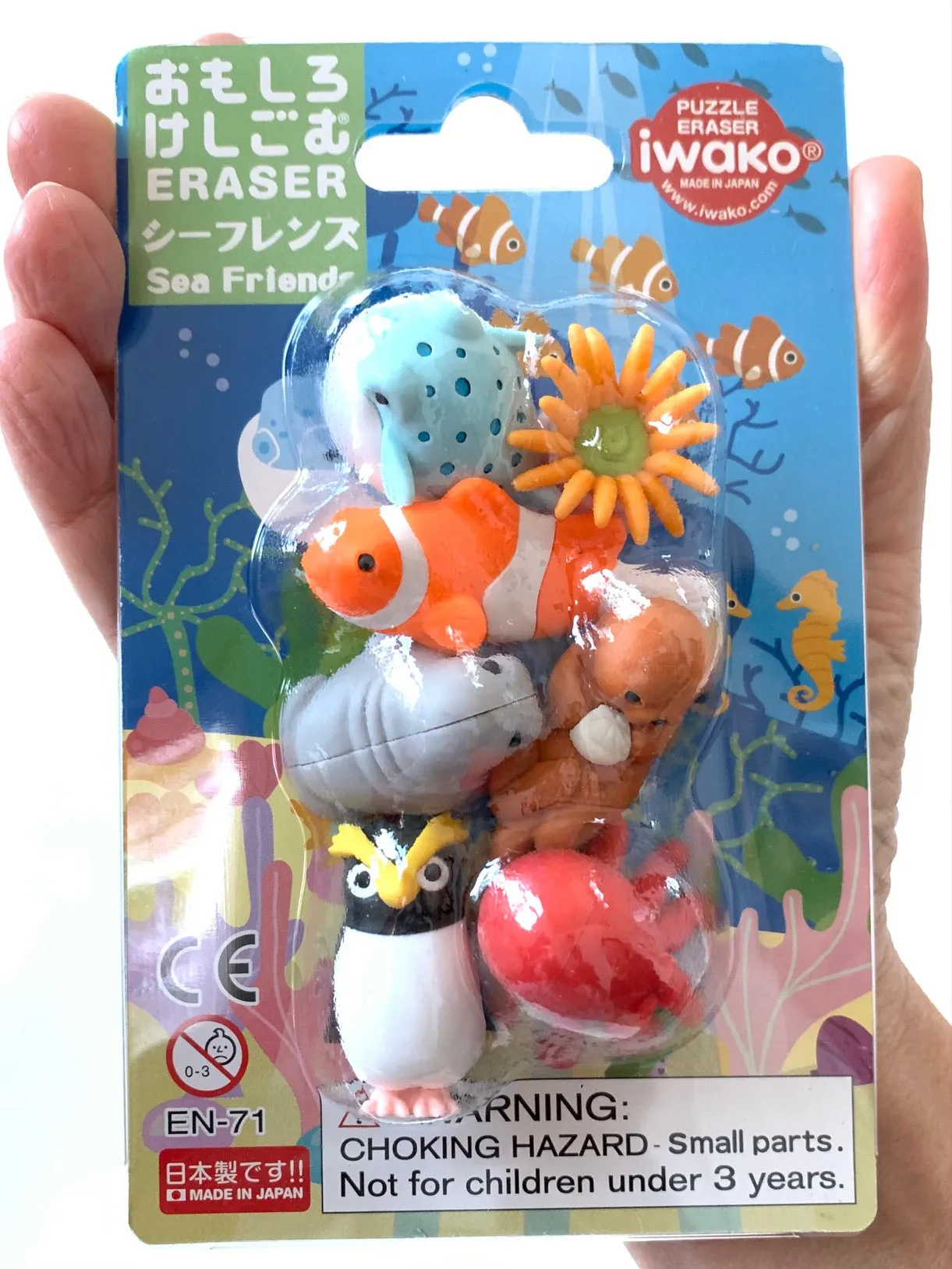 38313 SEA FRIENDS ERASER CARD-10 CARDS
