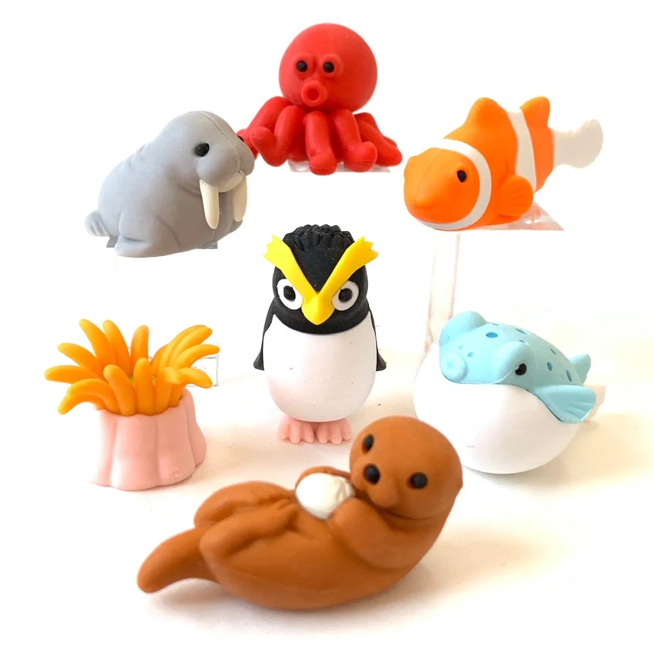 38313 SEA FRIENDS ERASER CARD-10 CARDS