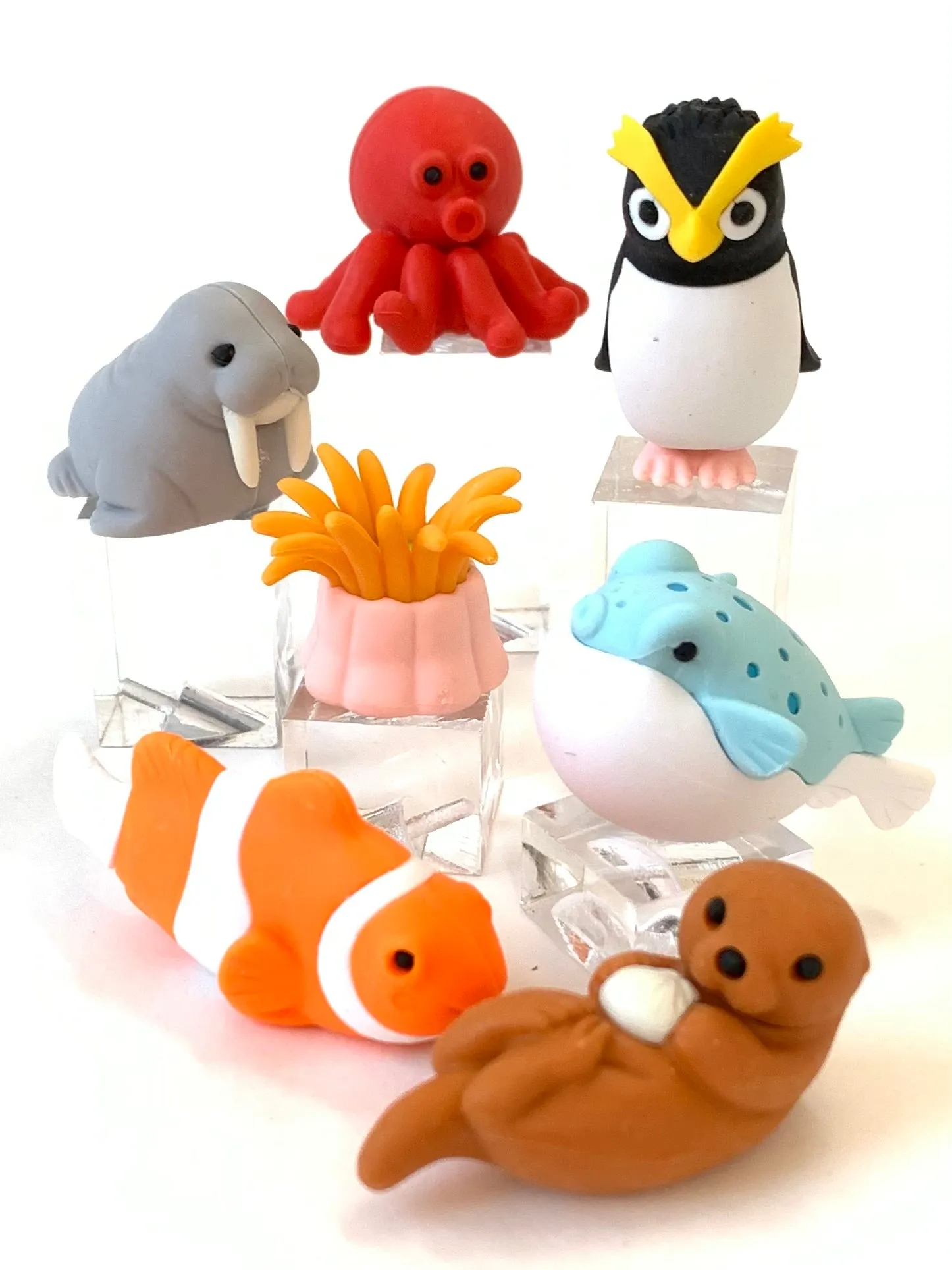38313 SEA FRIENDS ERASER CARD-10 CARDS