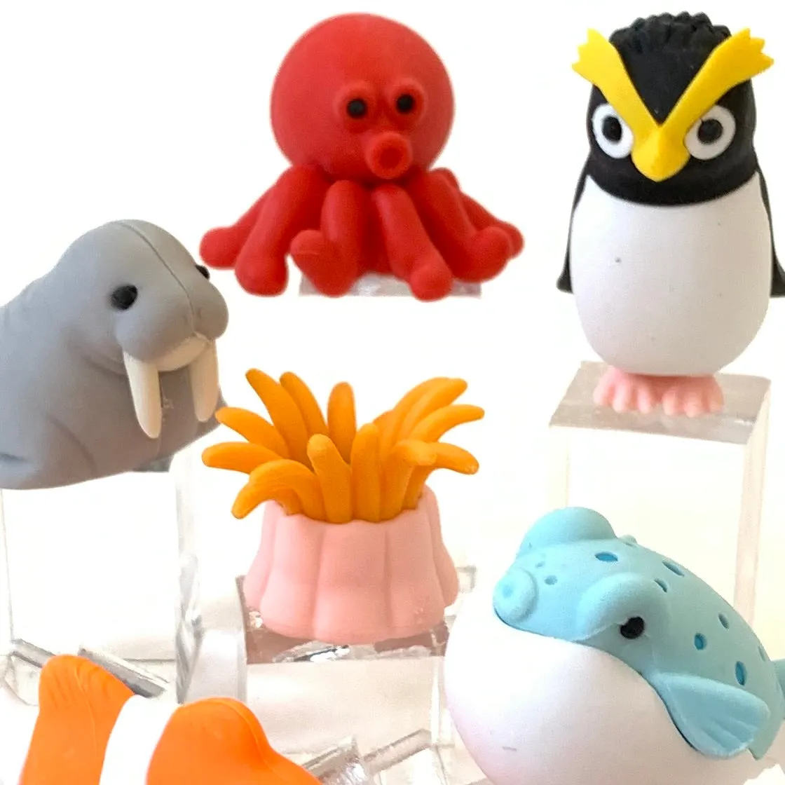 38313 SEA FRIENDS ERASER CARD-10 CARDS