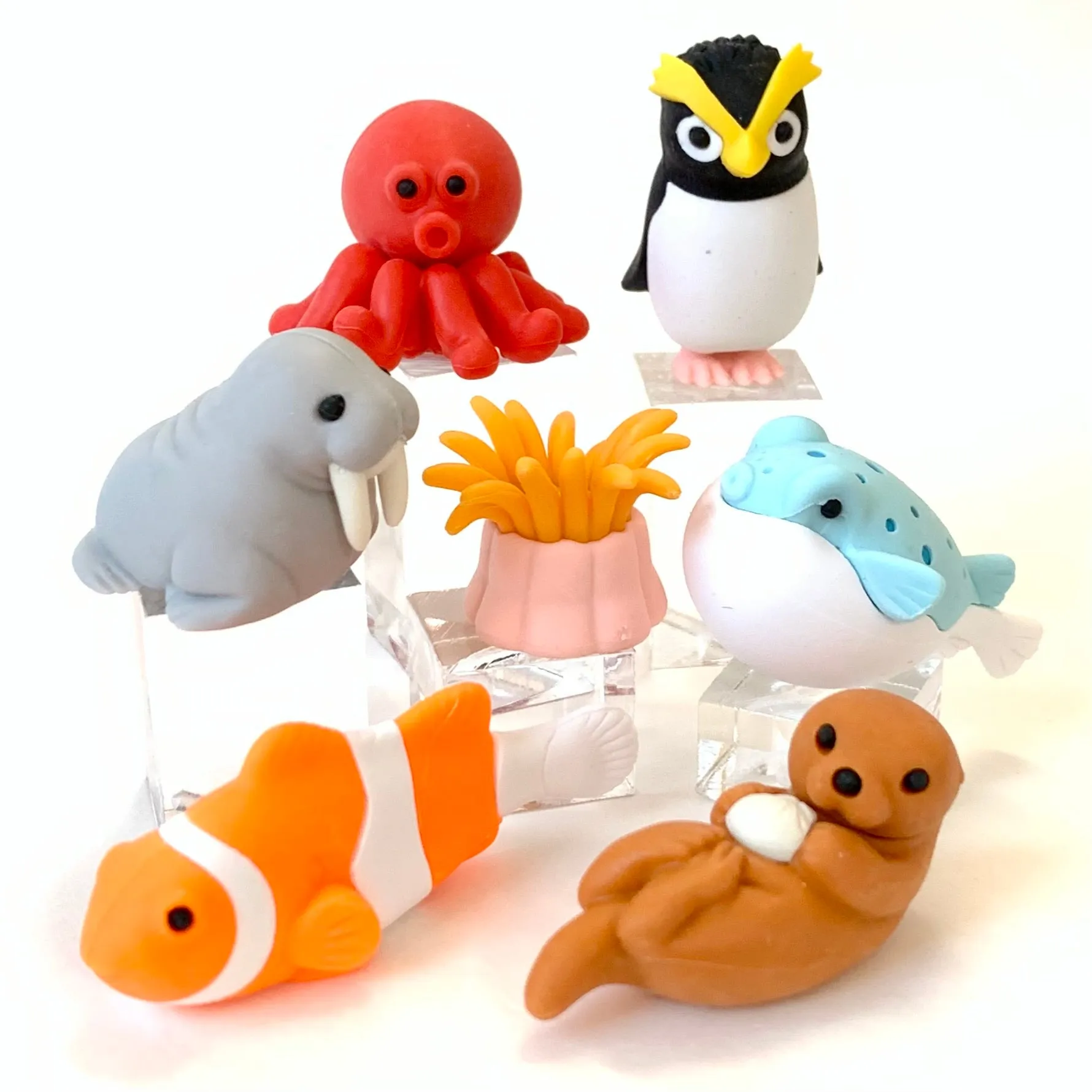 38313 SEA FRIENDS ERASER CARD-10 CARDS