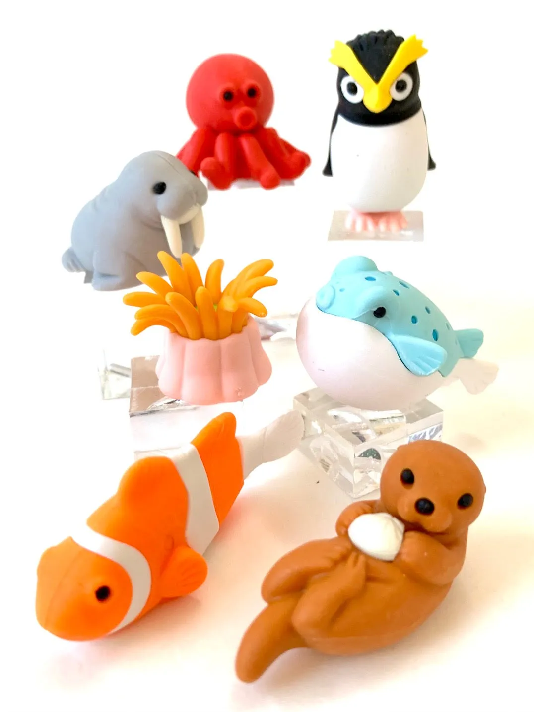 38313 SEA FRIENDS ERASER CARD-10 CARDS