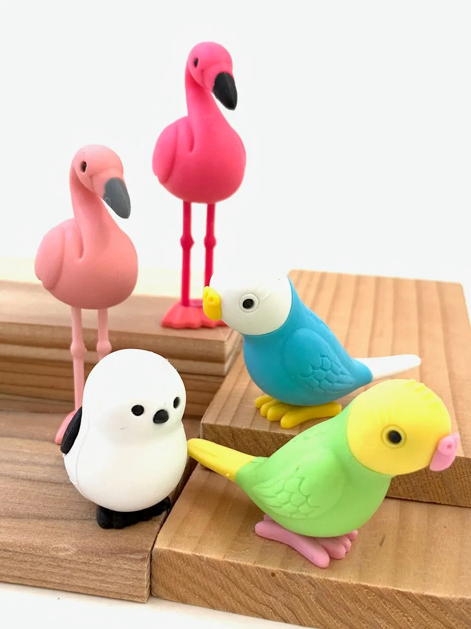 38337 BIRDS ERASER CARD-10 CARDS