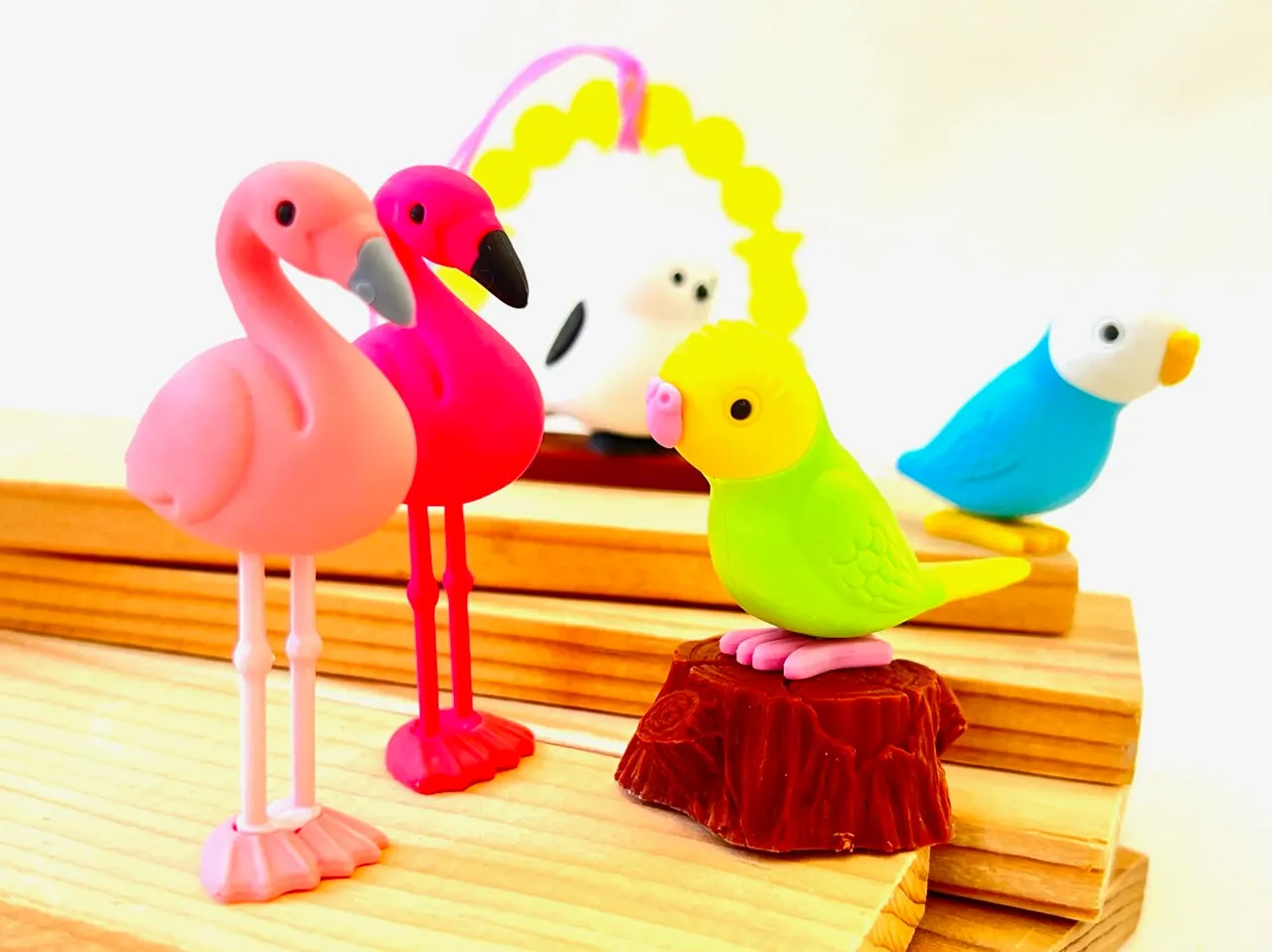 38337 BIRDS ERASER CARD-10 CARDS