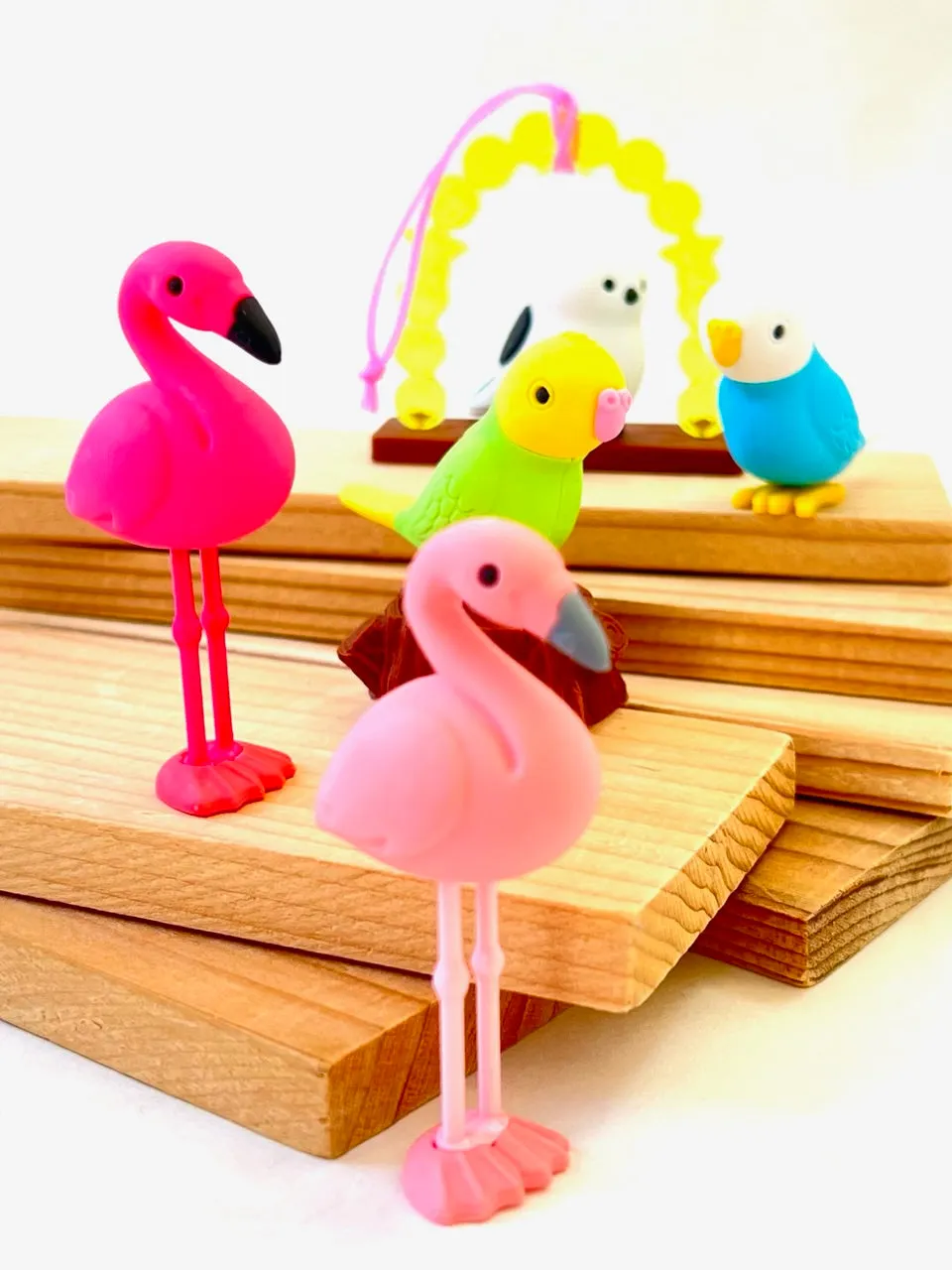 38337 BIRDS ERASER CARD-10 CARDS