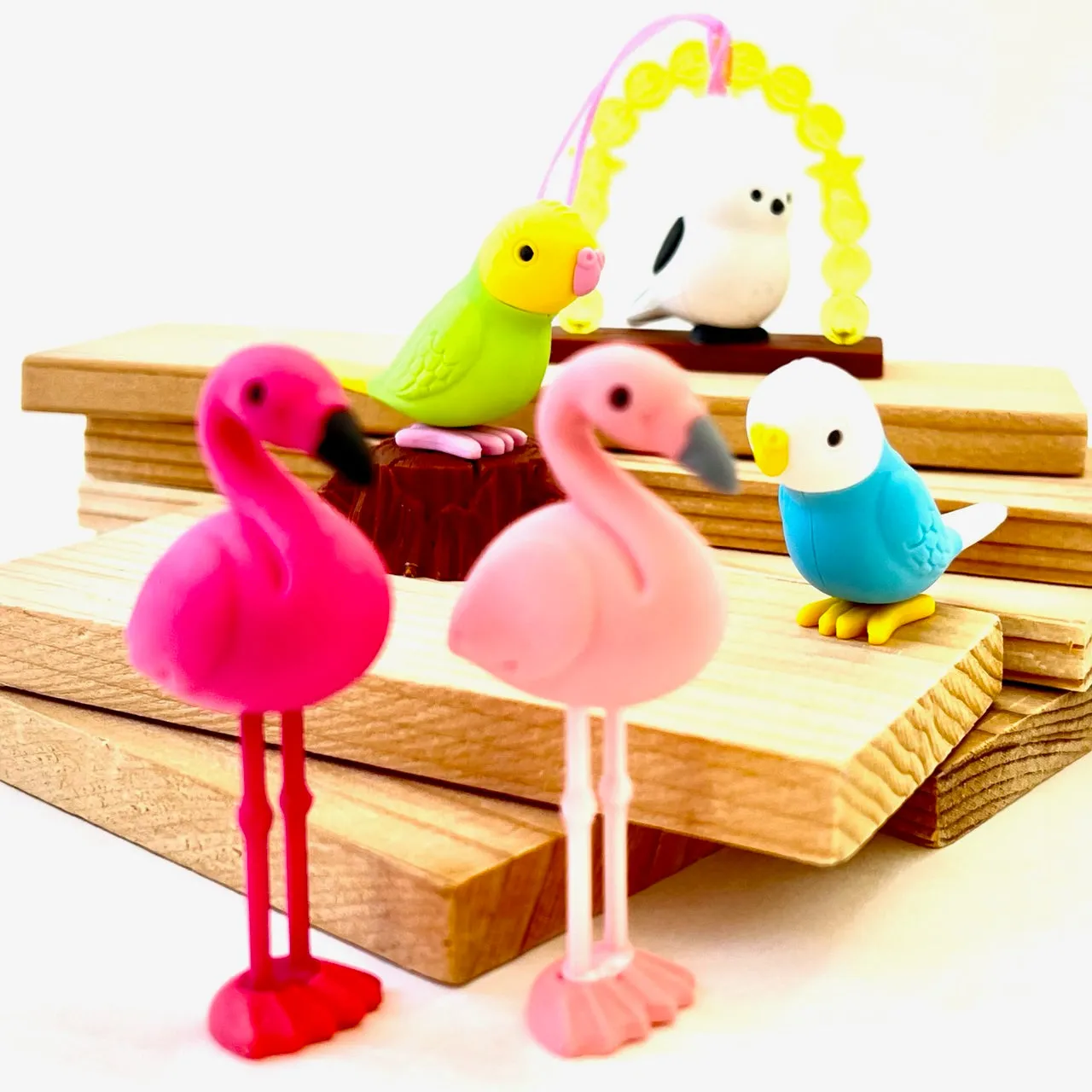 38337 BIRDS ERASER CARD-10 CARDS