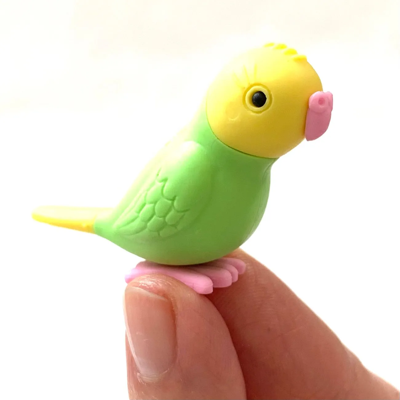 38337 BIRDS ERASER CARD-10 CARDS