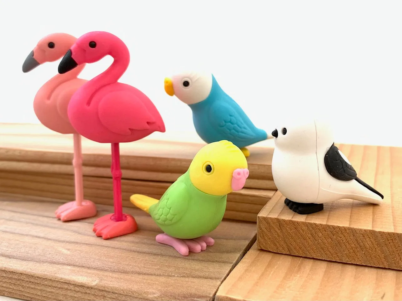 38337 BIRDS ERASER CARD-10 CARDS