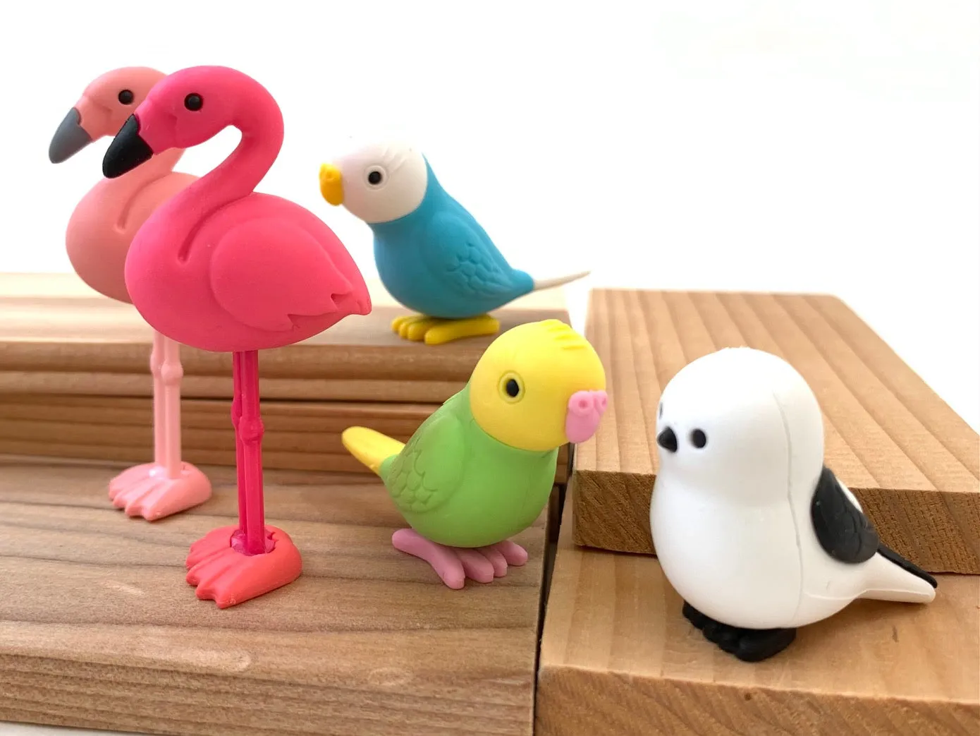 38337 BIRDS ERASER CARD-10 CARDS