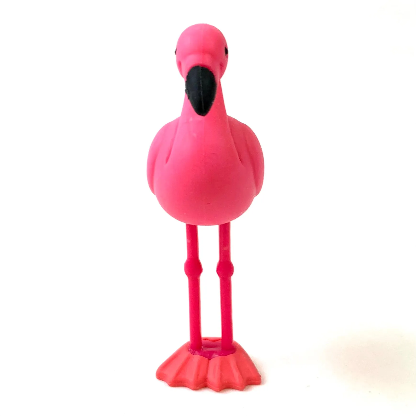 38337 BIRDS ERASER CARD-10 CARDS