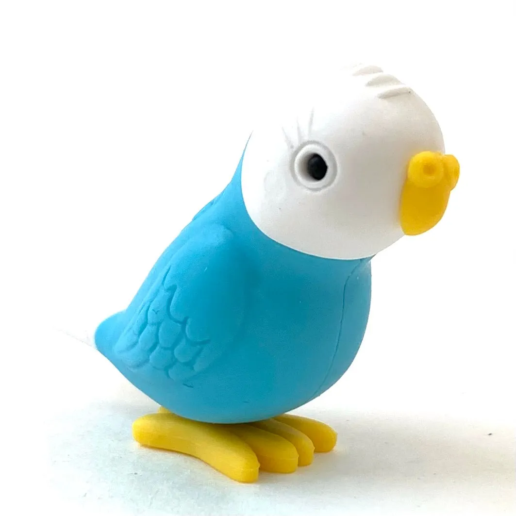 38337 BIRDS ERASER CARD-10 CARDS