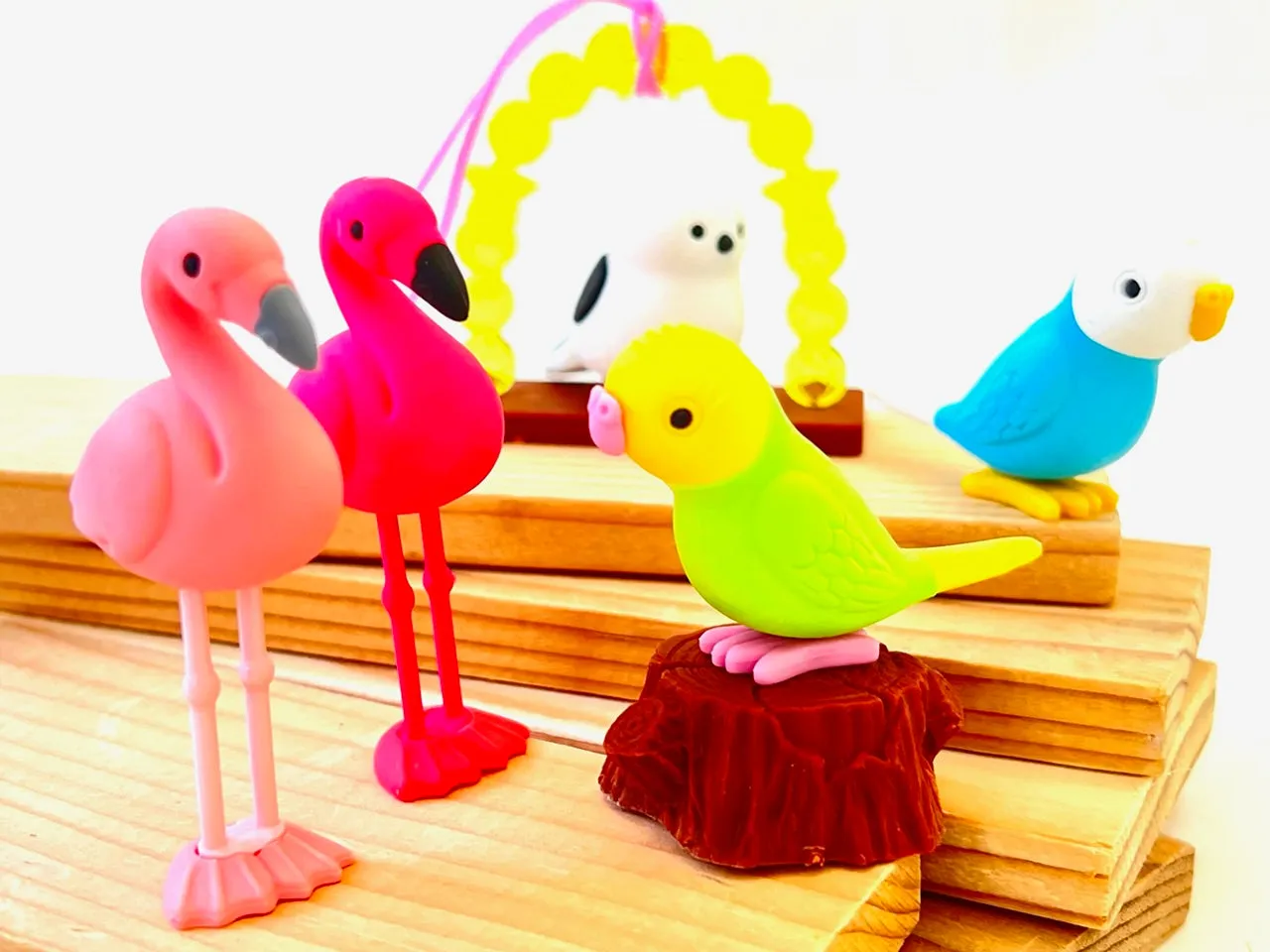 38337 BIRDS ERASER CARD-10 CARDS