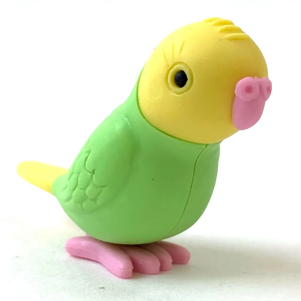 38337 BIRDS ERASER CARD-10 CARDS