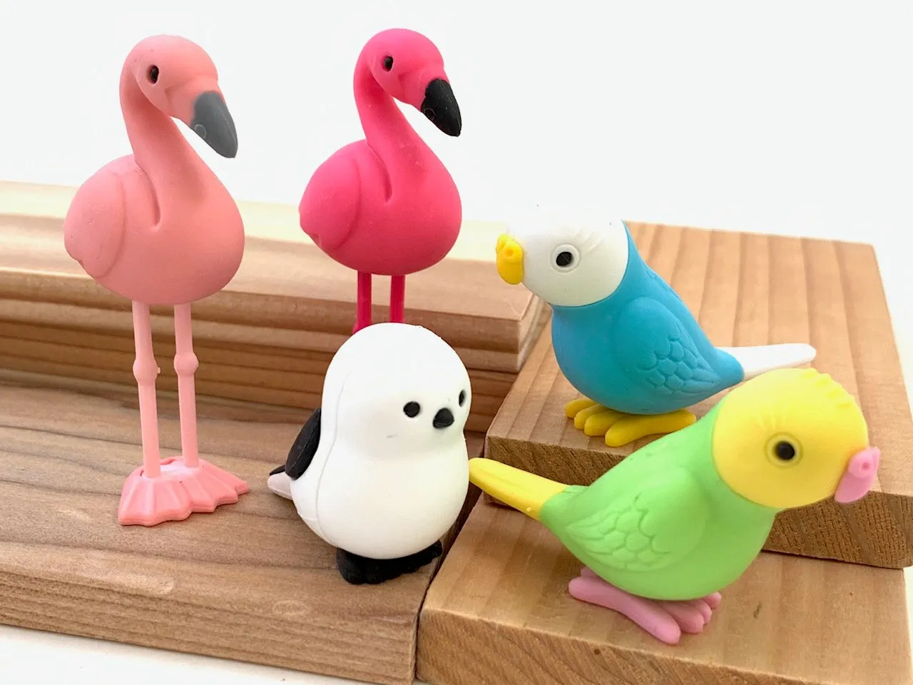 38337 BIRDS ERASER CARD-10 CARDS