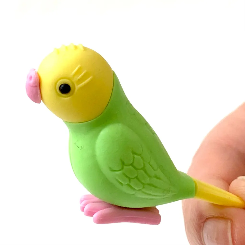 38337 BIRDS ERASER CARD-10 CARDS