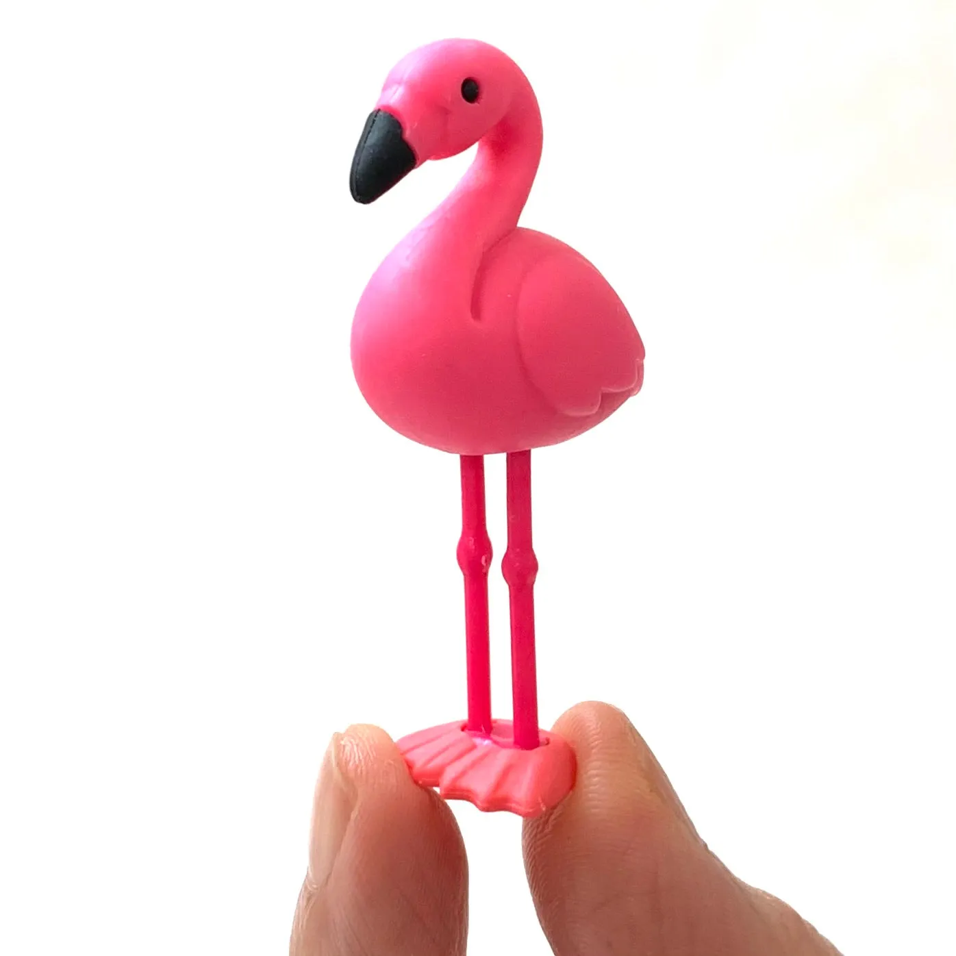 38337 BIRDS ERASER CARD-10 CARDS