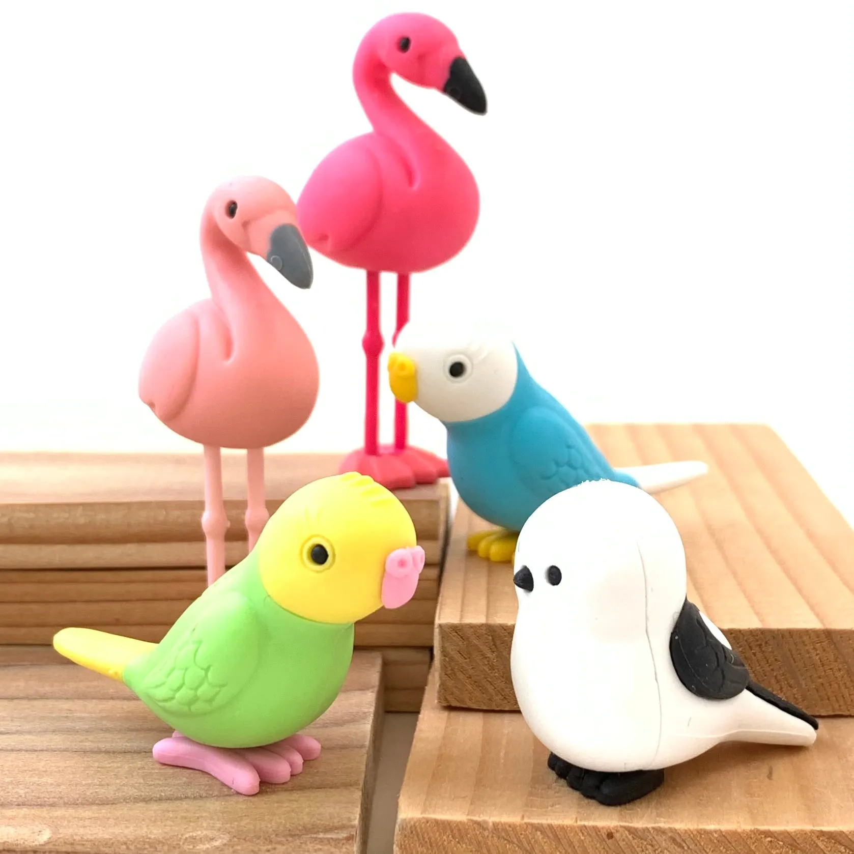 38337 BIRDS ERASER CARD-10 CARDS