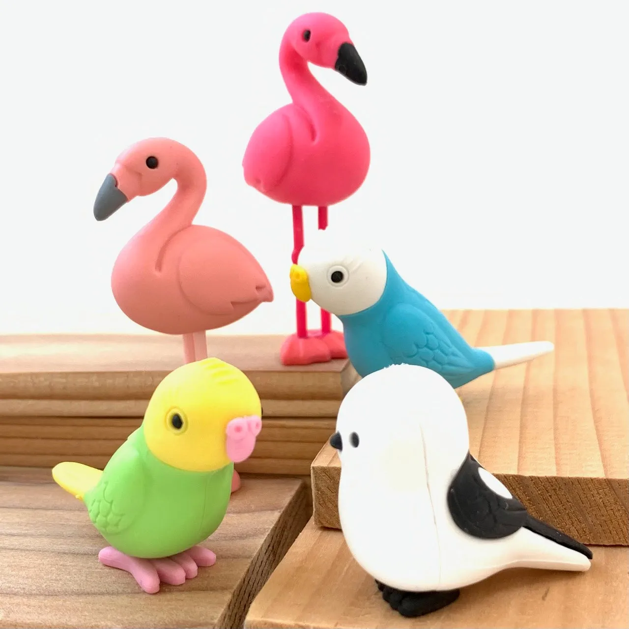 38337 BIRDS ERASER CARD-10 CARDS