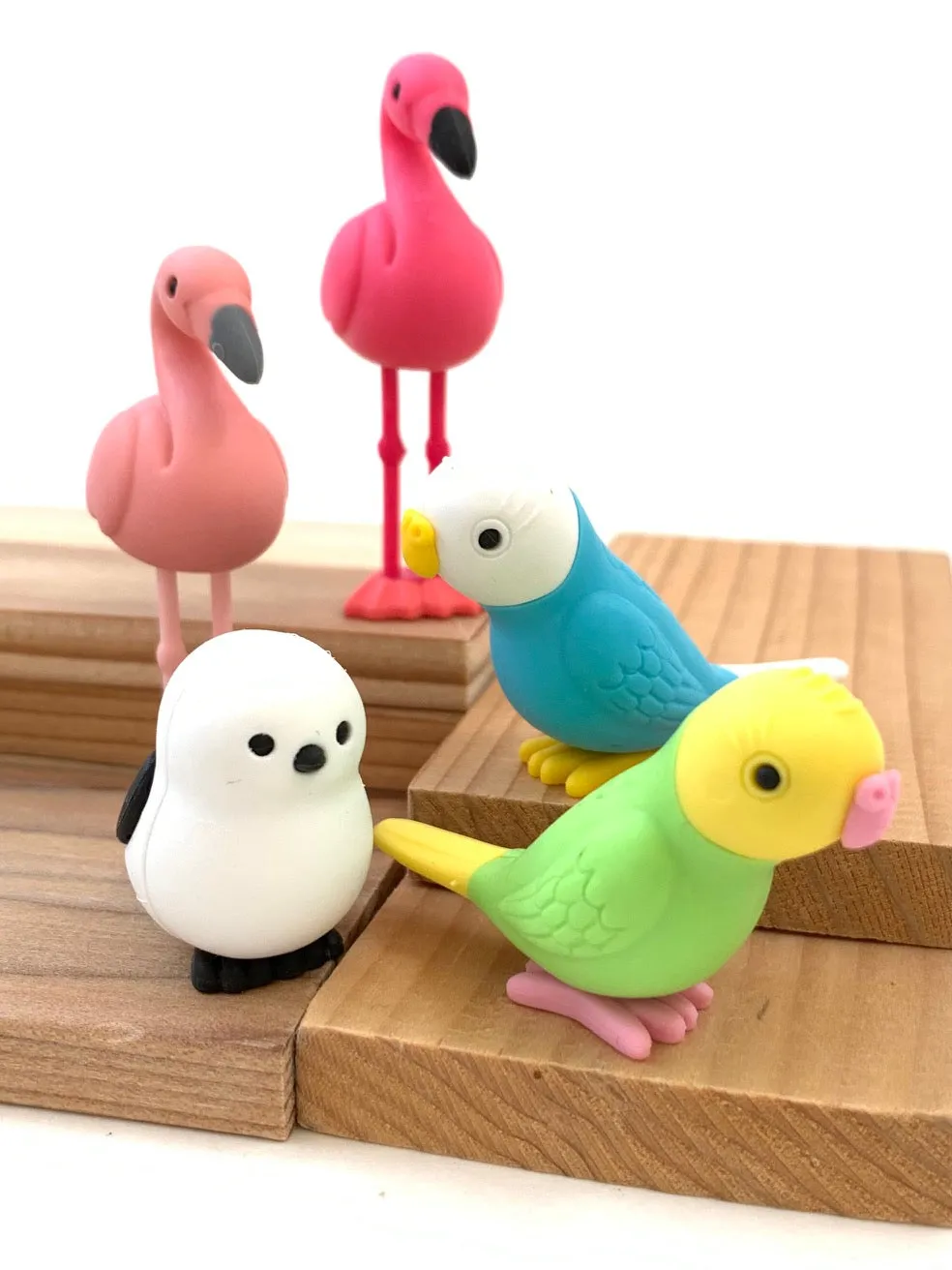 38337 BIRDS ERASER CARD-10 CARDS