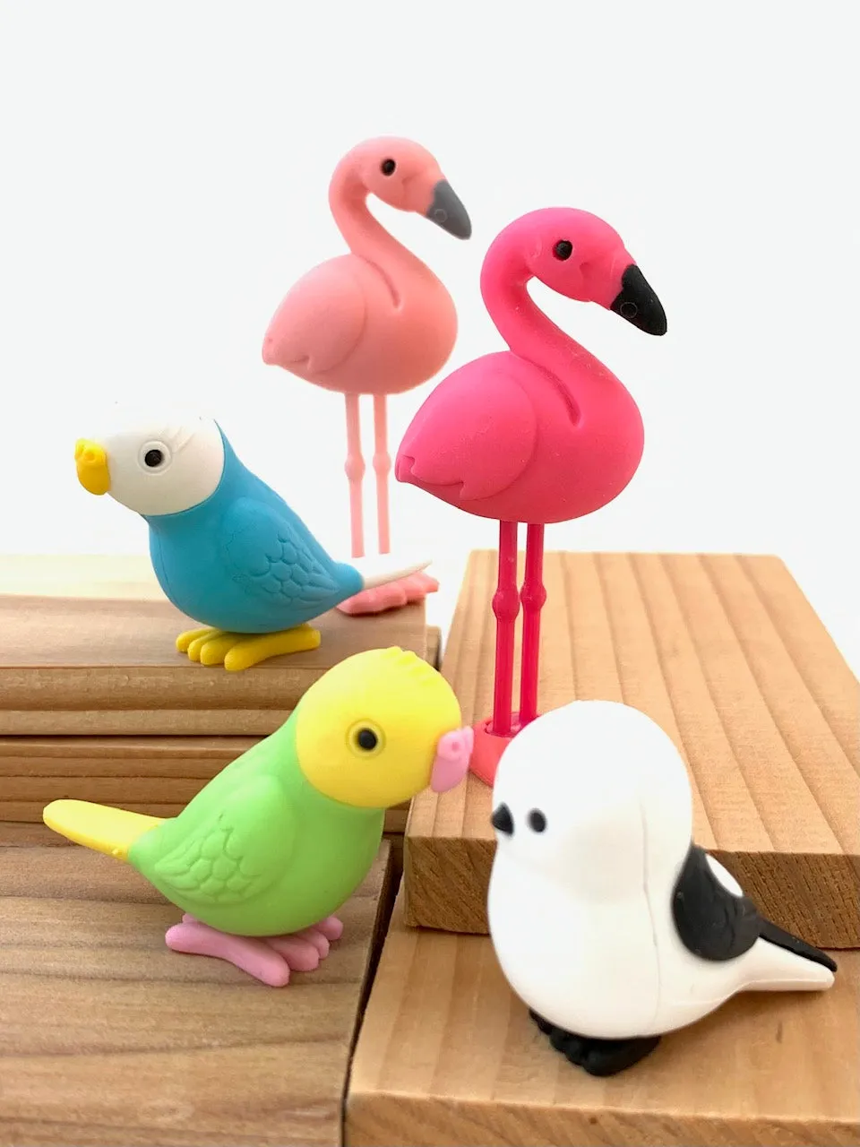 38337 BIRDS ERASER CARD-10 CARDS