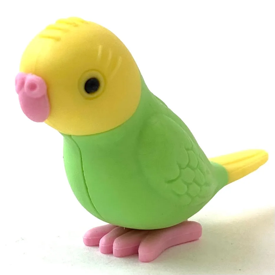 38337 BIRDS ERASER CARD-10 CARDS