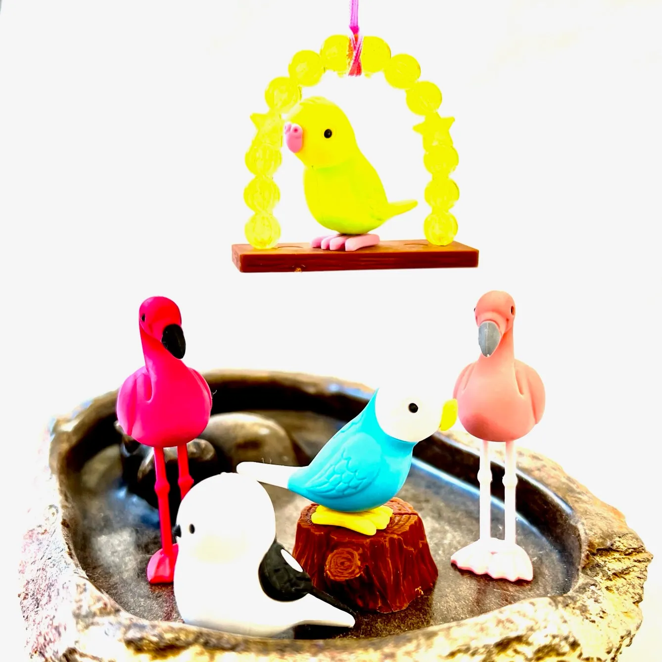 38337 BIRDS ERASER CARD-10 CARDS