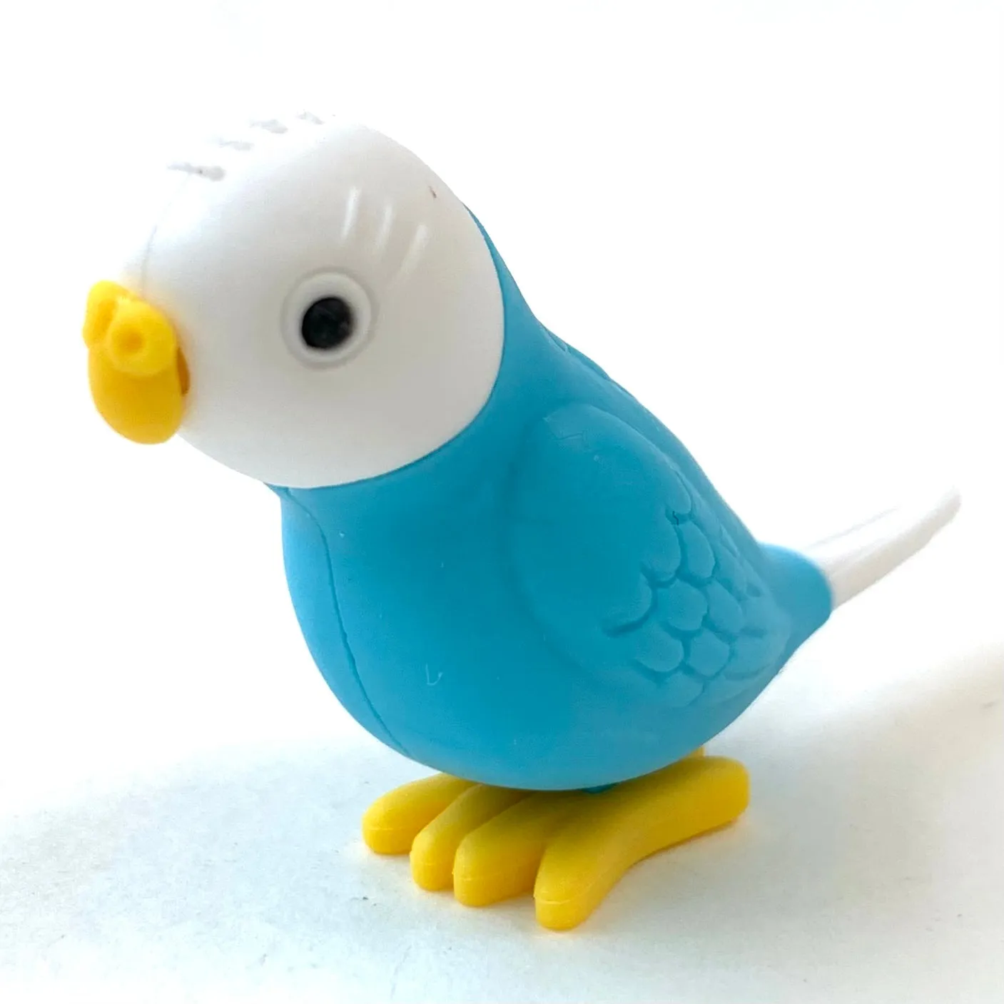 38337 BIRDS ERASER CARD-10 CARDS