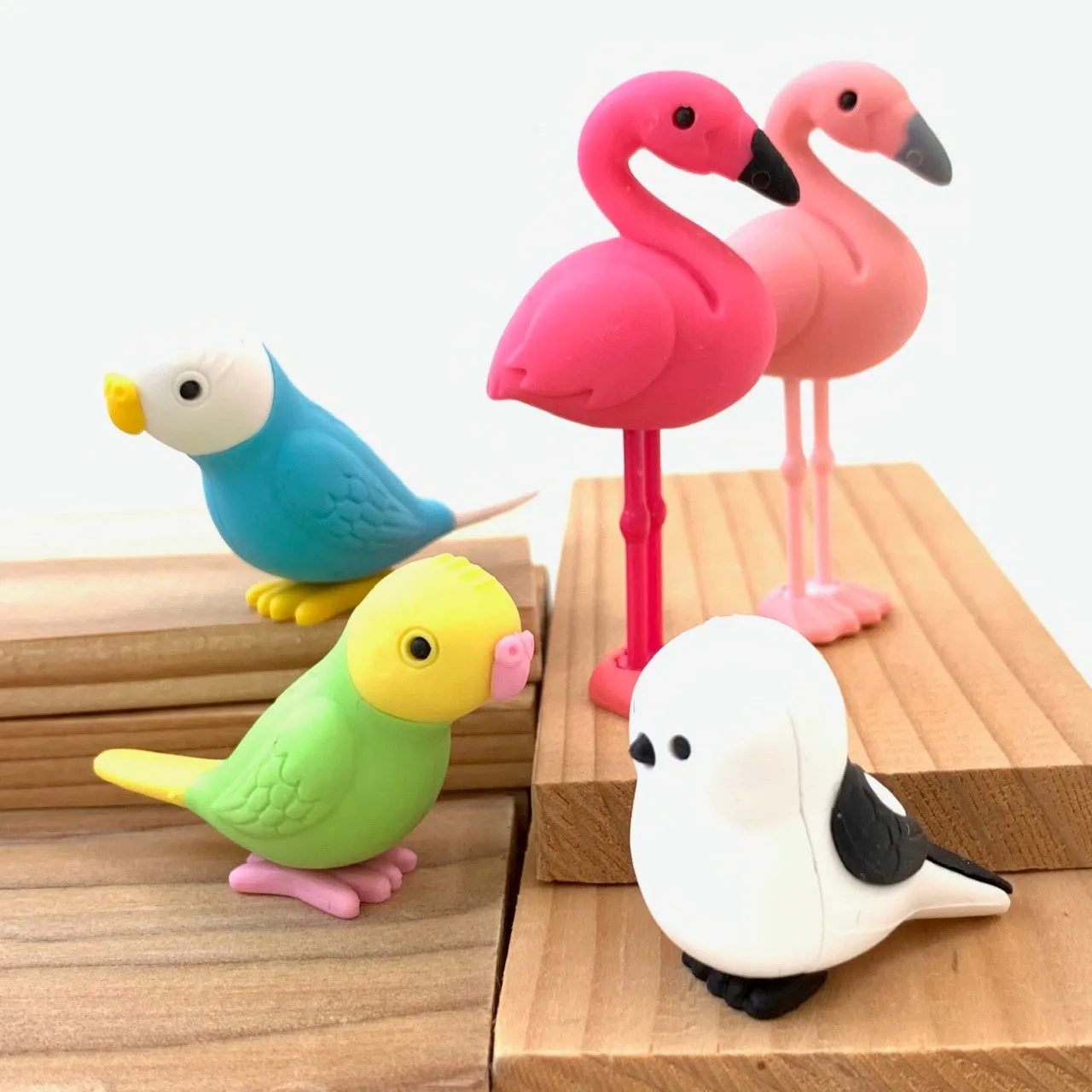 38337 BIRDS ERASER CARD-10 CARDS