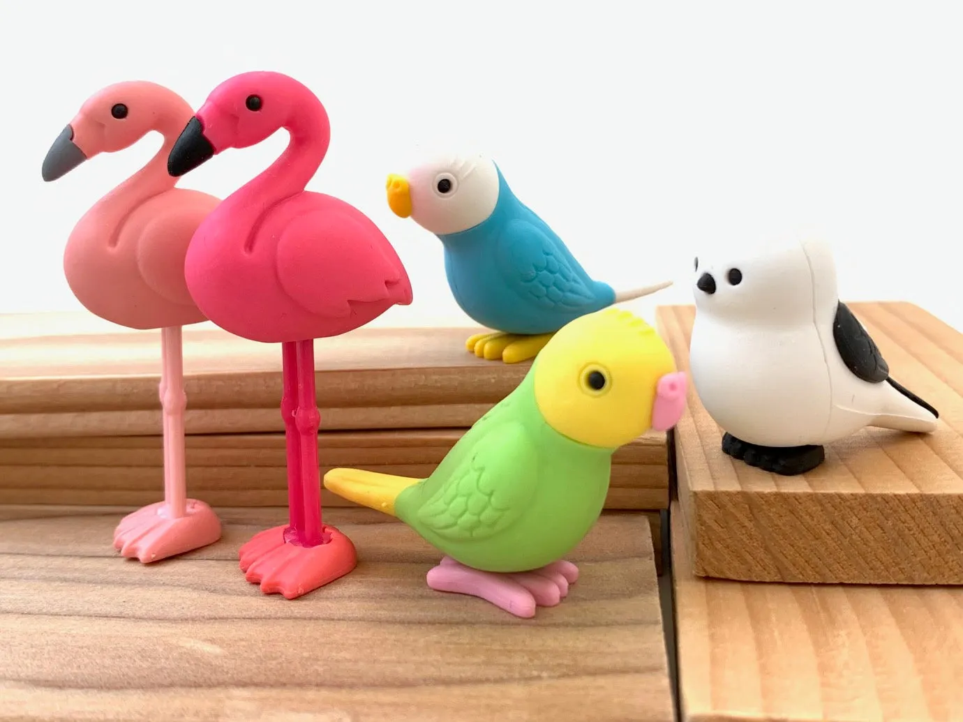 38337 BIRDS ERASER CARD-10 CARDS