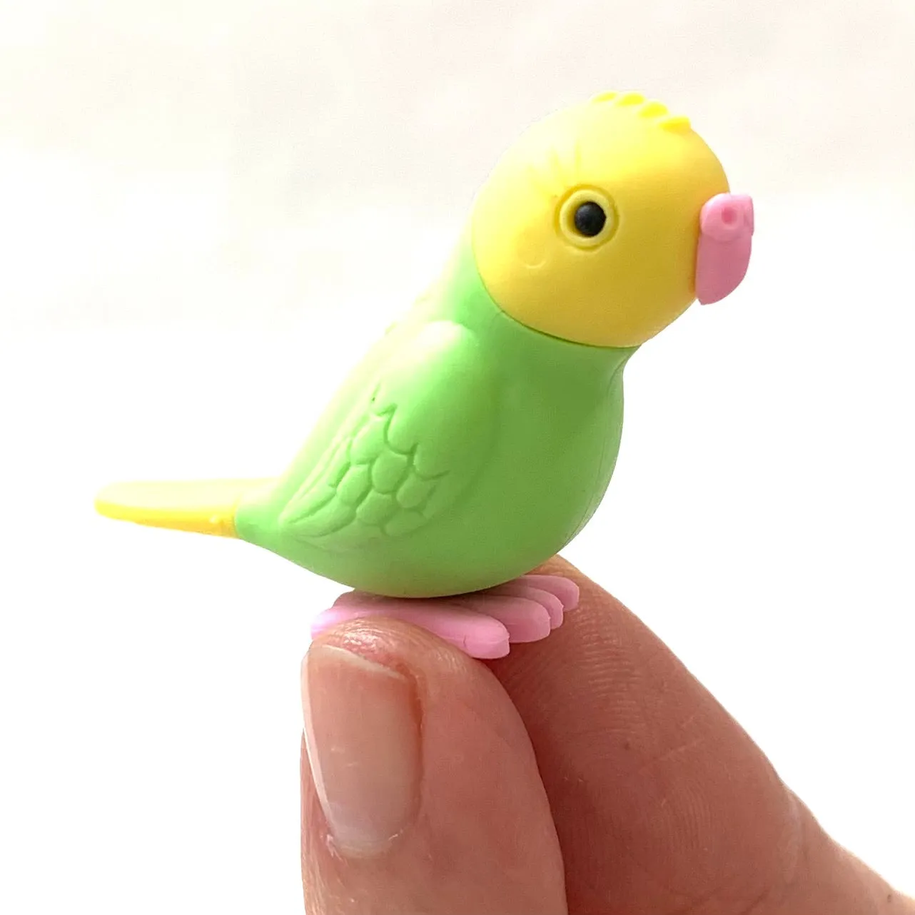 38337 BIRDS ERASER CARD-10 CARDS