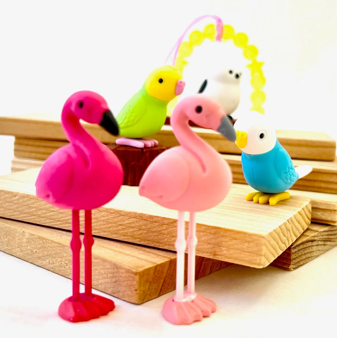 38337 BIRDS ERASER CARD-10 CARDS