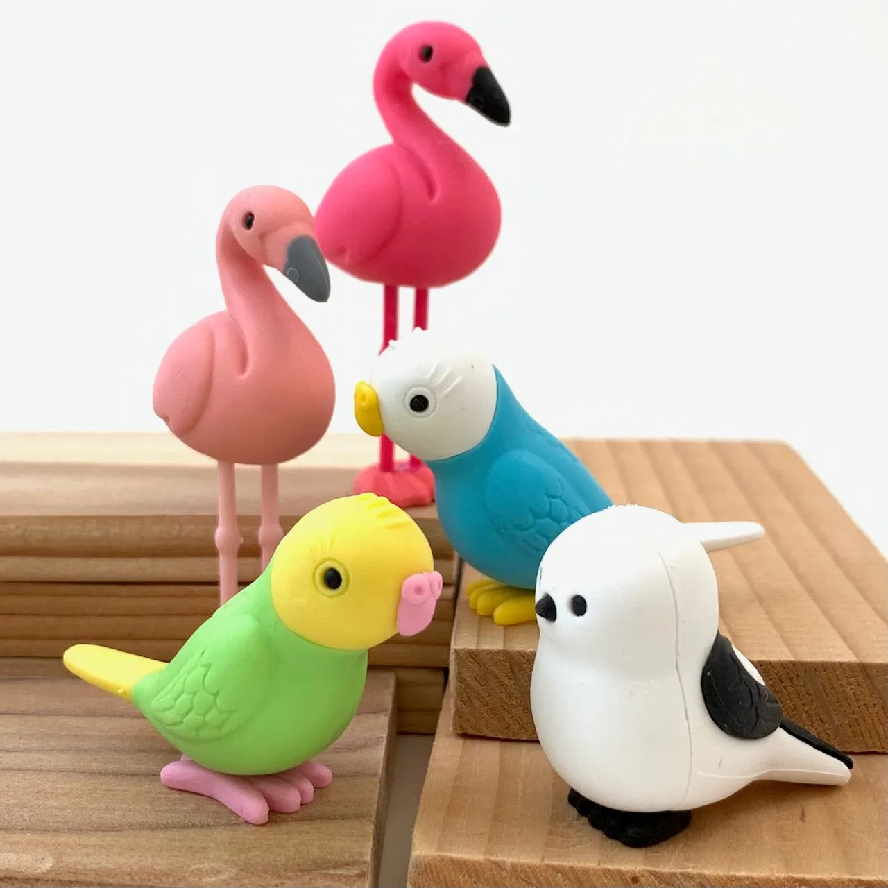 38337 BIRDS ERASER CARD-10 CARDS