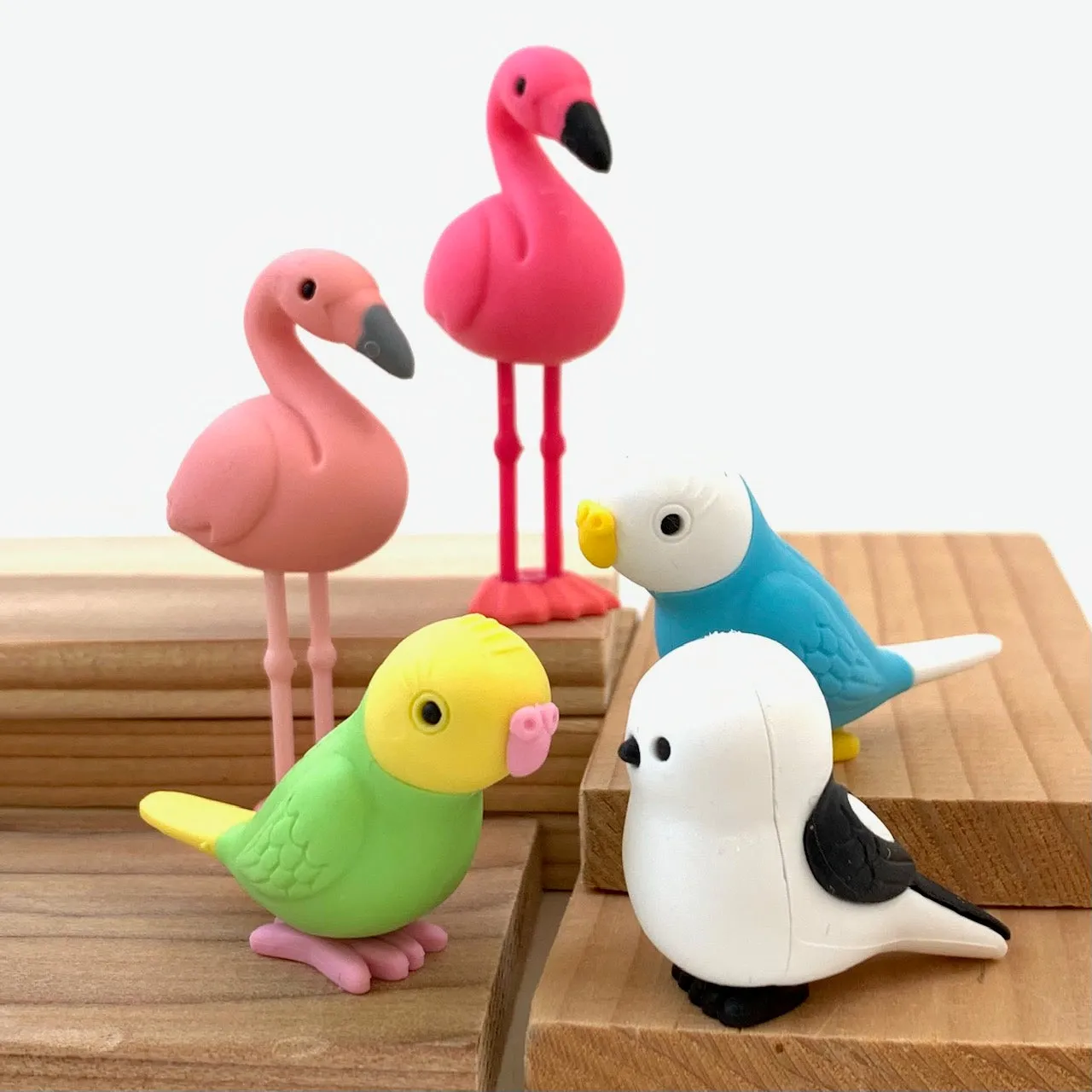 38337 BIRDS ERASER CARD-10 CARDS