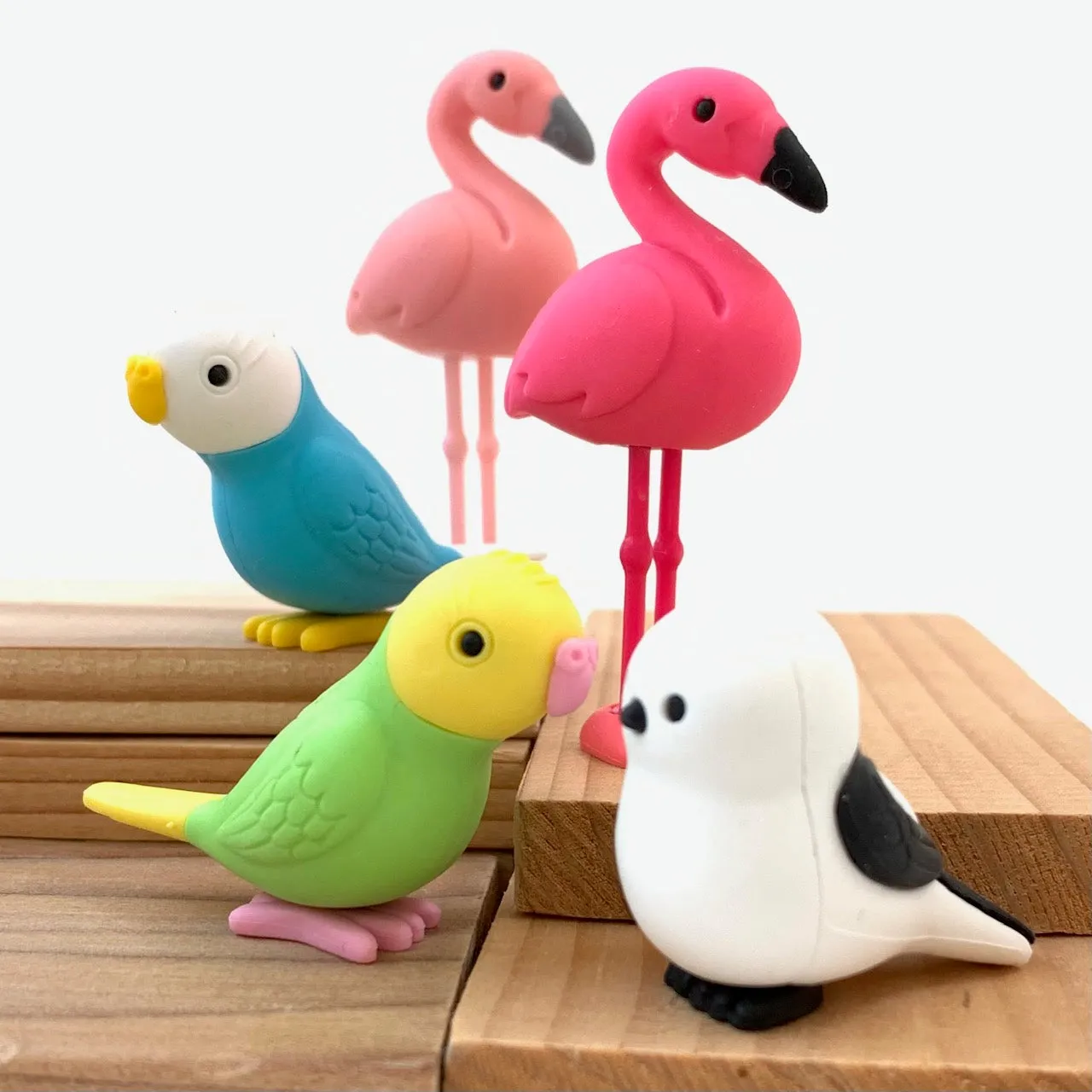 38337 BIRDS ERASER CARD-10 CARDS