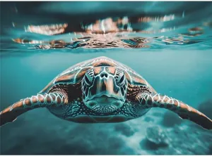 500 Piece Jigsaw Puzzle Sea Turtles and Fish Family Game Night