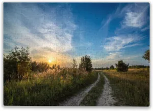 500 Pieces Puzzles for Adults - Road in The Field Against The Sunset Best Challenging Puzzles for Cognitive Workout - Safe Eco-Friendly - Most Popular Leisure Activities
