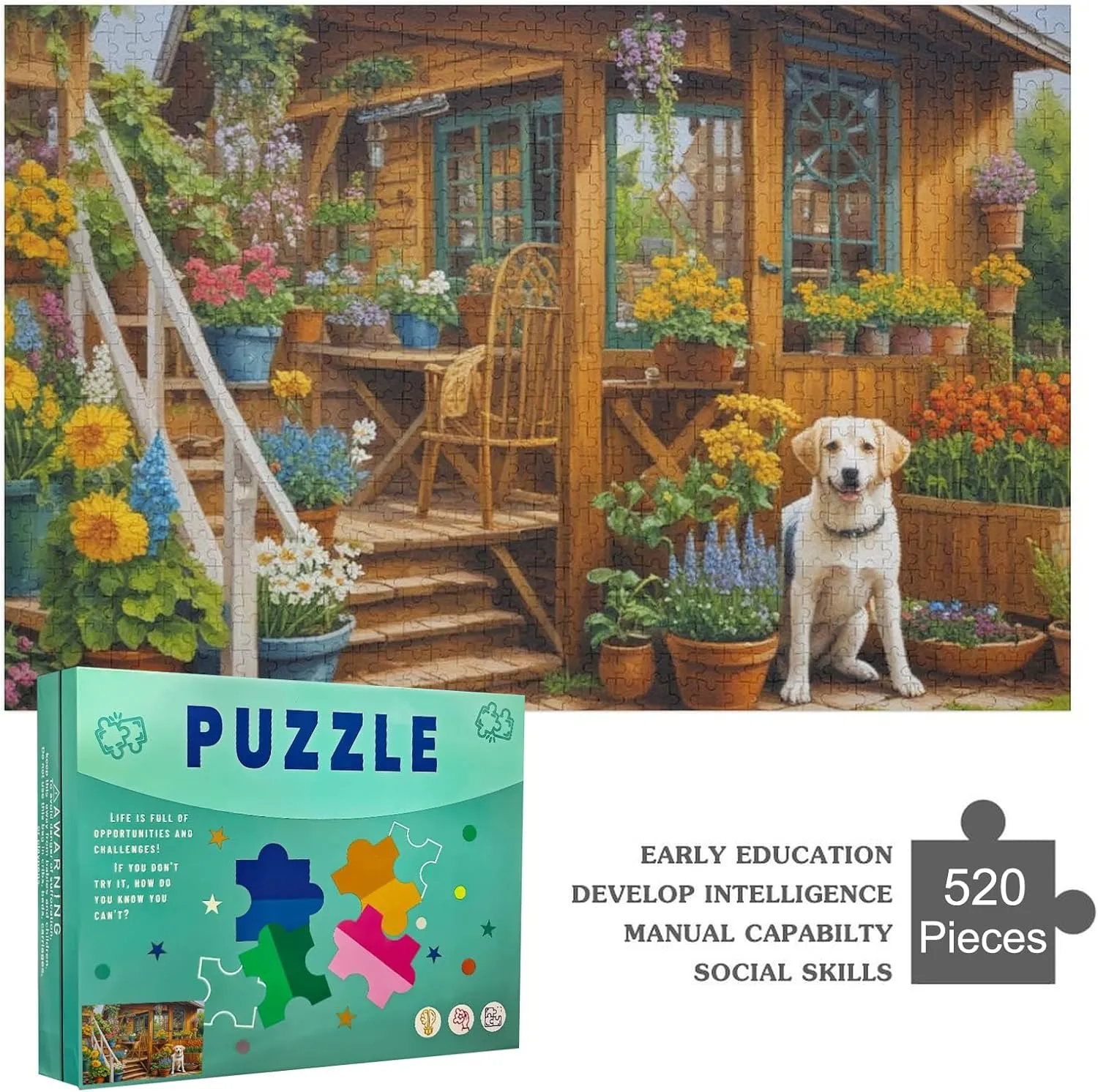 520 Piece Jigsaw Puzzles for Adults Car Plate Map Pattern Fun Games Creative Gifts for Family Friends Leisure Game Toy Art Gift for Women Men 20.5x15 Inch