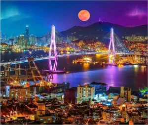 520 Piece Jigsaw Puzzles for Adults Car Plate Map Pattern Fun Games Creative Gifts for Family Friends Leisure Game Toy Art Gift for Women Men 20.5x15 Inch