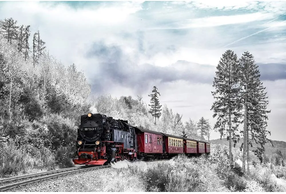 Adult Family Entertainment Puzzles, Trains in The Snow, Home Wall Decoration Paintings, Educational Toys, IQ Challenge, 500/1000/1500/2000 Pieces