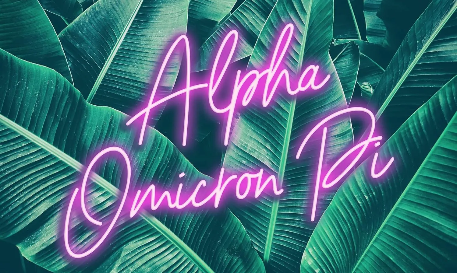 Alpha Omicron Pi - Sorority Letter Flag (Neon Design)