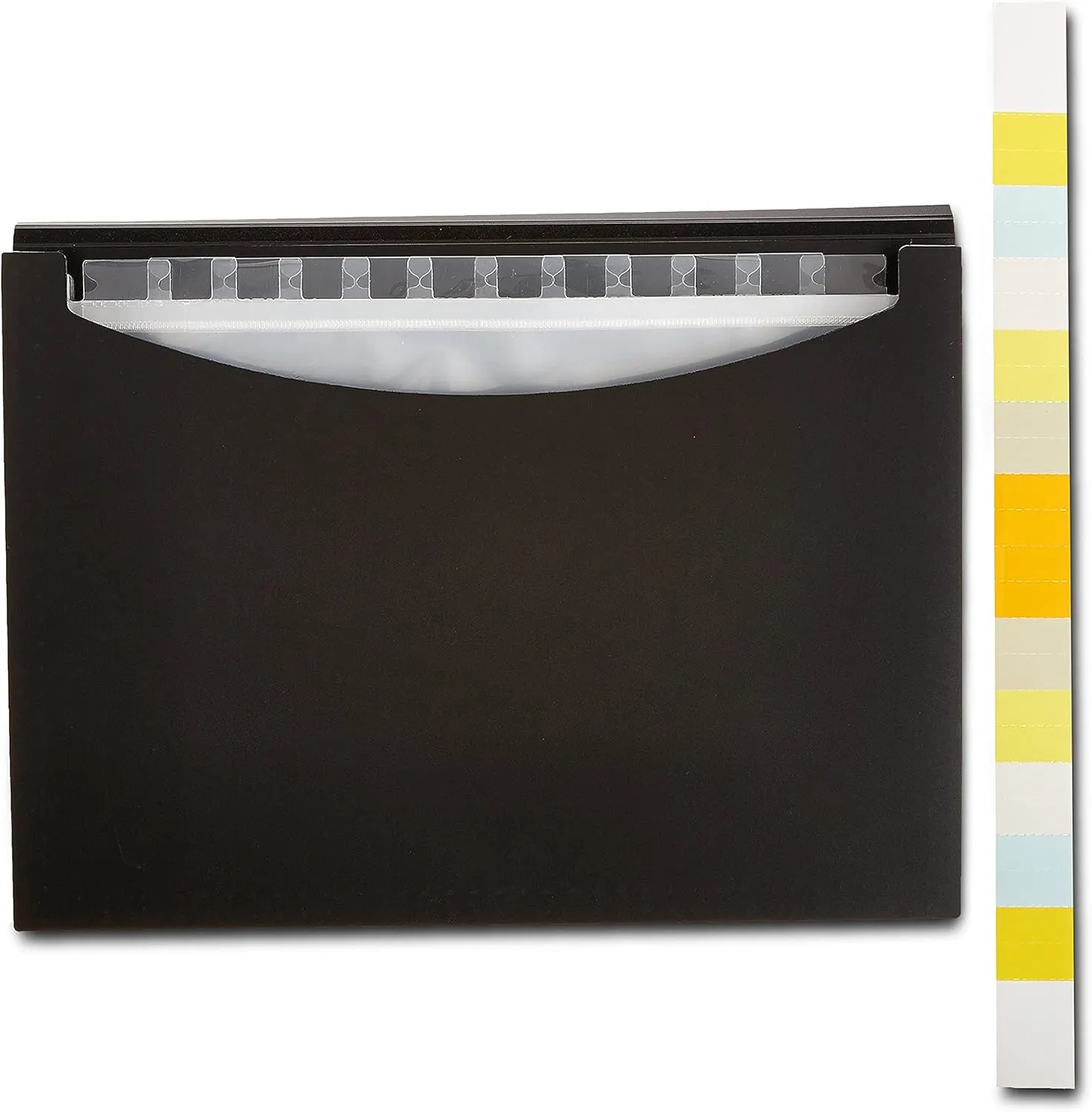 Amazon Basics Expanding Organizer File Folder, Letter Size - Black, 1-Pack