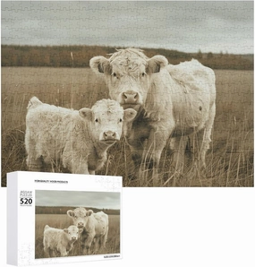 Calf on Grassland Puzzles 520 Pieces Personalized Jigsaw Puzzles Calf on Grassland Photo Puzzle Challenging Picture Puzzle for Adults Personaliz Jigsaw with Storage Bag (20.5" X 15")