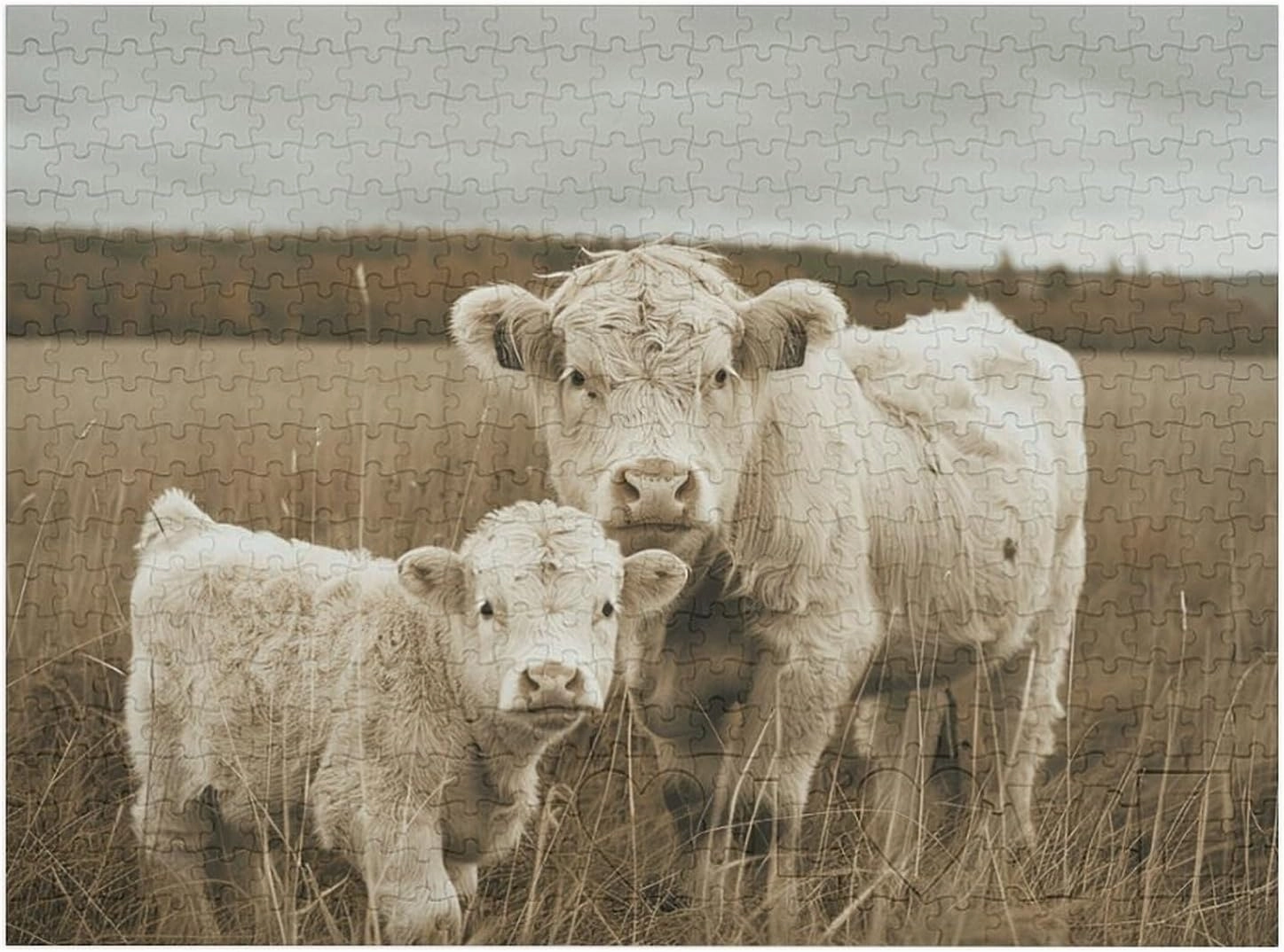 Calf on Grassland Puzzles 520 Pieces Personalized Jigsaw Puzzles Calf on Grassland Photo Puzzle Challenging Picture Puzzle for Adults Personaliz Jigsaw with Storage Bag (20.5" X 15")
