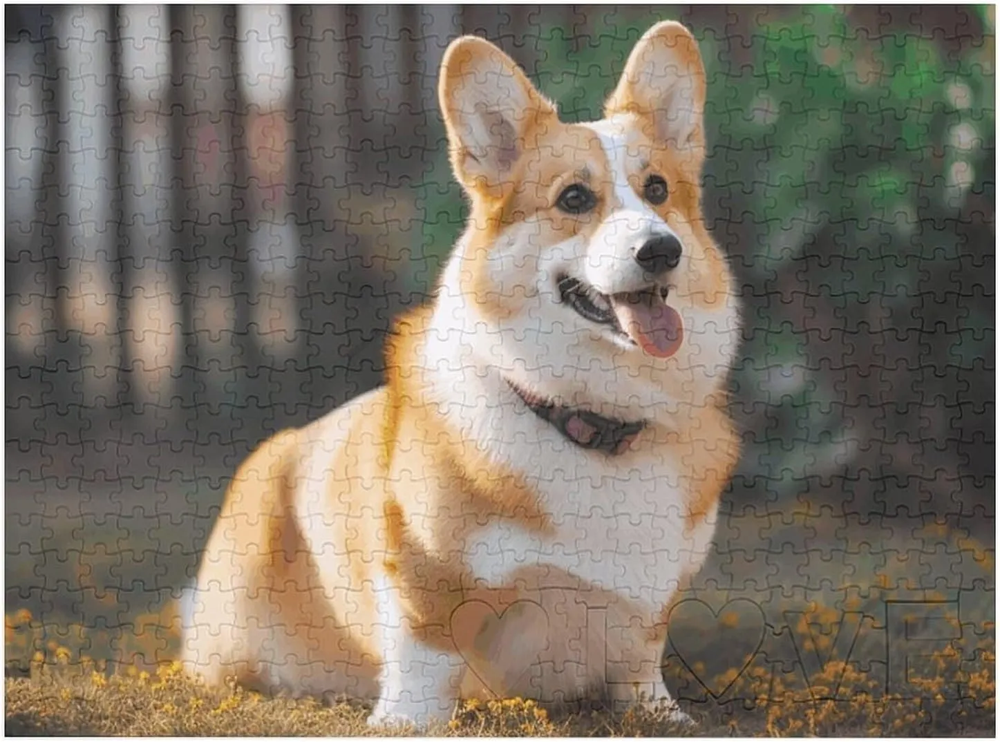 Dog Corgi Puzzles 520 Pieces Personalized Jigsaw Puzzles Dog Corgi Photo Puzzle Challenging Picture Puzzle for Adults Personaliz Jigsaw with Storage Bag (20.5" X 15")