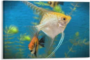 Jigsaw Puzzle 500 Piece Adult Puzzle Colourful Fish Freshwater Angelfish Christmas Adult Kids Intelligence Game Toy Family Friend Puzzle Gift