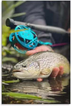 Jigsaw Puzzle 500 Piece Adult Puzzle River Fishing Poles Trout Fish Christmas Adult Kids Intelligence Game Toy Family Friend Puzzle Gift