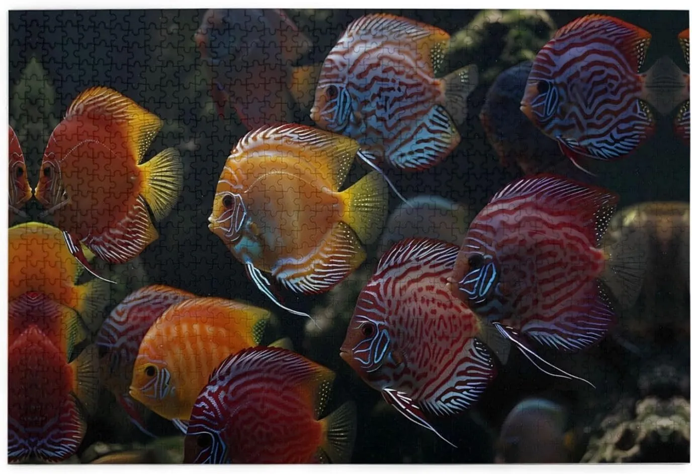 Jigsaw Puzzles1000 Piece Whjshop Tropical Fish School Printing Educational Intellectual Wooden Puzzles, Fun Puzzles, Stress Relieving Game