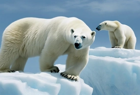Jigsaw Puzzles for Adults Teens Polar Bears On Icebergs Fun Puzzles Colorful Home Decoration New Upgraded Puzzle Gifts 500 Pieces